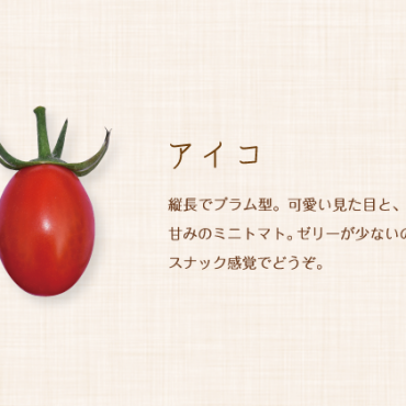 themestudio